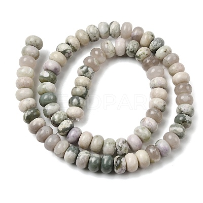 Natural Peace Jade Beads Strands G-A280-A17-02-1
