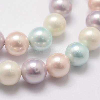 Polished Shell Pearl Bead Strands X-BSHE-F013-07A-1