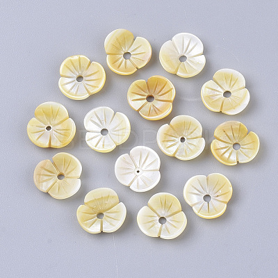 Yellow Shell Beads SSHEL-S251-39-1