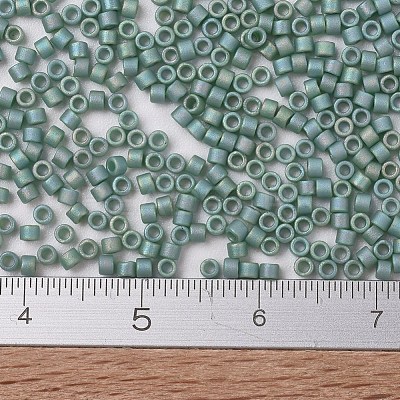 MIYUKI Delica Beads SEED-X0054-DB2313-1