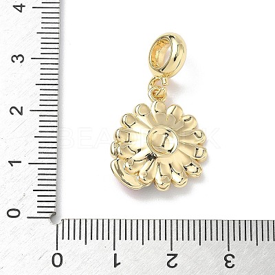 Brass Enamel European Dangle Charms KK-P330-03G-1