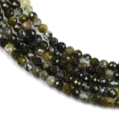 Natural Prehnite Beads Strands G-L628-B11-2mm-1