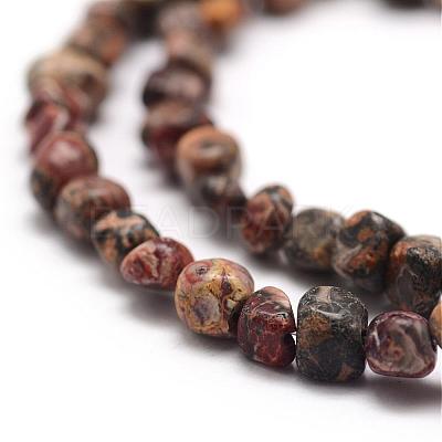 Natural Leopard Skin Jasper Beads Strands G-F465-31-1