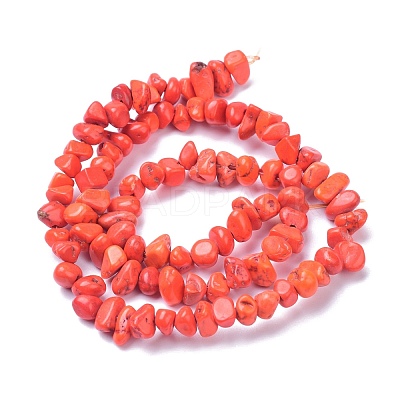 Natural Magnesite Beads Strands TURQ-P001-02A-10-1