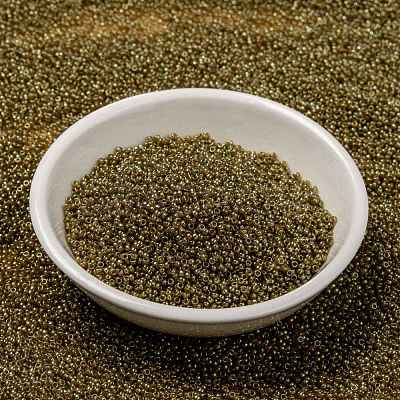 MIYUKI Round Rocailles Beads SEED-X0056-RR0311-1