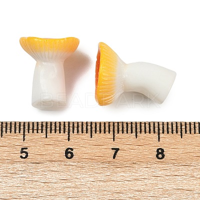 Mushroom Themes Resin Display Decorations DJEW-S002-01E-1