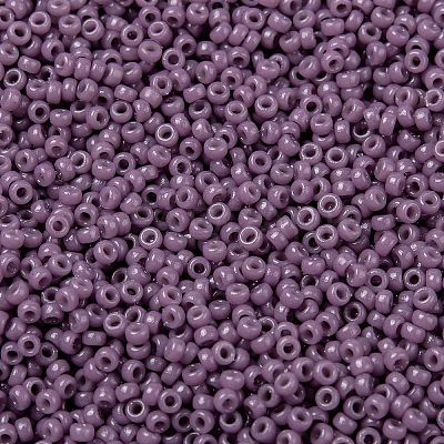 MIYUKI Round Rocailles Beads X-SEED-G009-RR4489-1