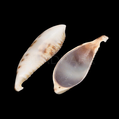 Natural Shell Big Pendants SH-CBA93AD-18-1