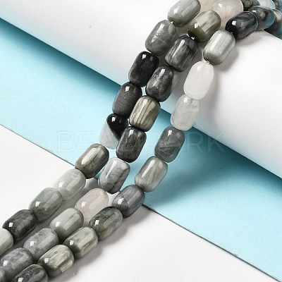Natural Eagle Eye Stone Beads Strands G-G980-14-1