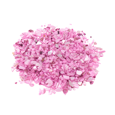 Natural Freshwater Shell Beads BSHE-I011-03D-1