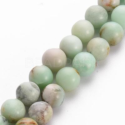 Natural Chrysoprase Beads Strands G-S333-6mm-037-1