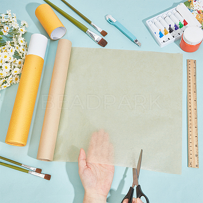 20M Cicada Wing Paper Roll for Calligraphy Painting DIY-BC0017-39B-1