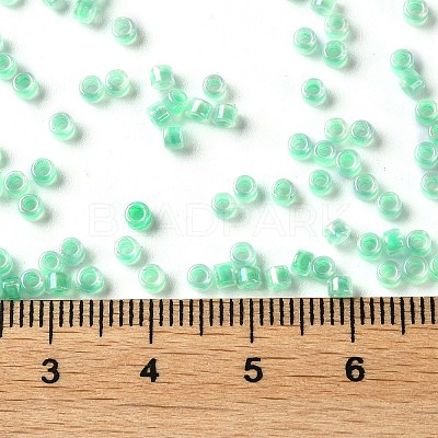 Glass Seed Beads X-SEED-S042-13A-11-1