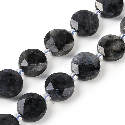 Natural Larvikite Beads Strands G-C116-A45-01-1