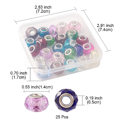 25Pcs Handmade Glass European Beads GLAA-FS0001-53-1