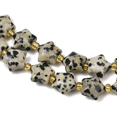 Natural Dalmatian Jasper Beads Strands G-Z080-A08-10mm-1