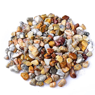 Natural Crazy Agate Tumbled Chips PW-WGA7DCE-26-1