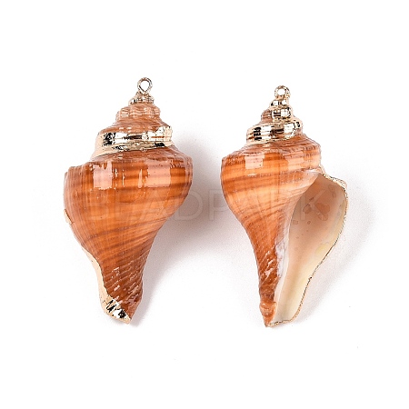 Natural Conch Shell Big Pendants SSHEL-N038-24C-1