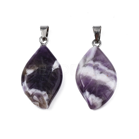 Natural Amethyst Pendants G-S364-076A-02-1