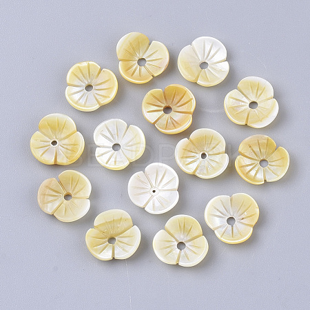 Yellow Shell Beads SSHEL-S251-39-1