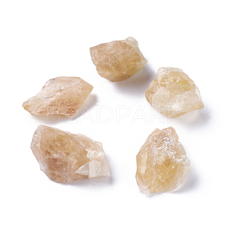 Rough Raw Natural Citrine Beads G-WH0003-02-1