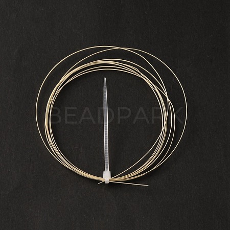Sterling Silver Wire STER-WH0009-02A-1