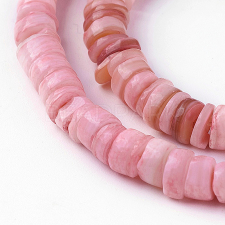Shell Beads Strands SSHEL-E571-49A-1