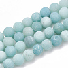 Natural Amazonite Beads Strands G-T106-190-1
