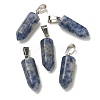 Natural Blue Spot Jasper Pendants G-Z067-07P-12-2