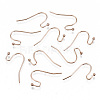304 Stainless Steel Earring Hooks X-STAS-S111-005RG-NR-3