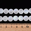 Frosted Transparent Glass Beads Strands GLAA-T032-T10mm-MBB13-4