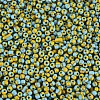 8/0 Glass Seed Beads SEED-S006-31-3