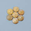 Natural Topaz Jade Cabochons X-G-P393-R35-12mm-3
