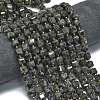 Natural Larvikite Beads Strands G-K389-A31-01-2