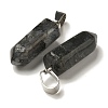 Natural Labradorite Pendants G-Z067-07P-24-3