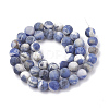 Natural Sodalite Beads Strands G-T106-211-3