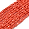 Opaque Glass Beads Strands GLAA-Z018-D23-1