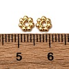 Brass Spacer Beads KK-Z121-05G-02-3