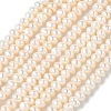 Natural Cultured Freshwater Pearl Beads Strands PEAR-C004-13-2