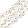 Rainbow Plated Shell Pearl Bead Strands BSHE-L025-02-8mm-1