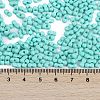 Baking Paint Glass Seed Beads X1-SEED-K010-A19-4