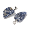 Natural Blue Spot Jasper Pendants G-B127-01P-01-3