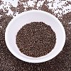 MIYUKI Delica Beads SEED-X0054-DB0460-2