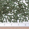 MIYUKI Round Rocailles Beads X-SEED-G007-RR0307-4
