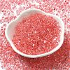 Glass Seed Beads SEED-K009-08B-05-2