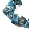 Natural Apatite Beads Strands G-I283-F23-4
