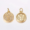 Brass Micro Pave Cubic Zirconia Charms X-ZIRC-G122-43G-RS-1