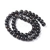 Natural Biotite Beads Strands G-L528-06C-3