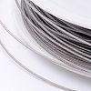Original Color(Raw) Tail Wire L0.6MM01-2