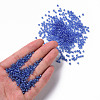 Glass Seed Beads SEED-US0003-3mm-106-4